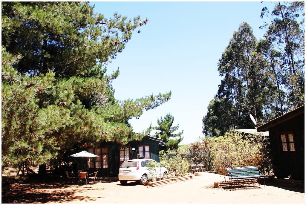 Cabanas La Magia De Isla Negra Ngoại thất bức ảnh